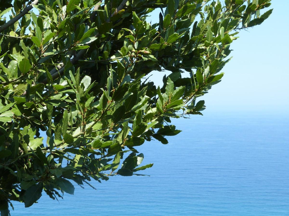 Balcony On The Rocks Βίλα Agioi Saranta Εξωτερικό φωτογραφία
